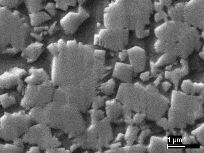 Microfotografia de uma liga de carboneto de tungstênio.